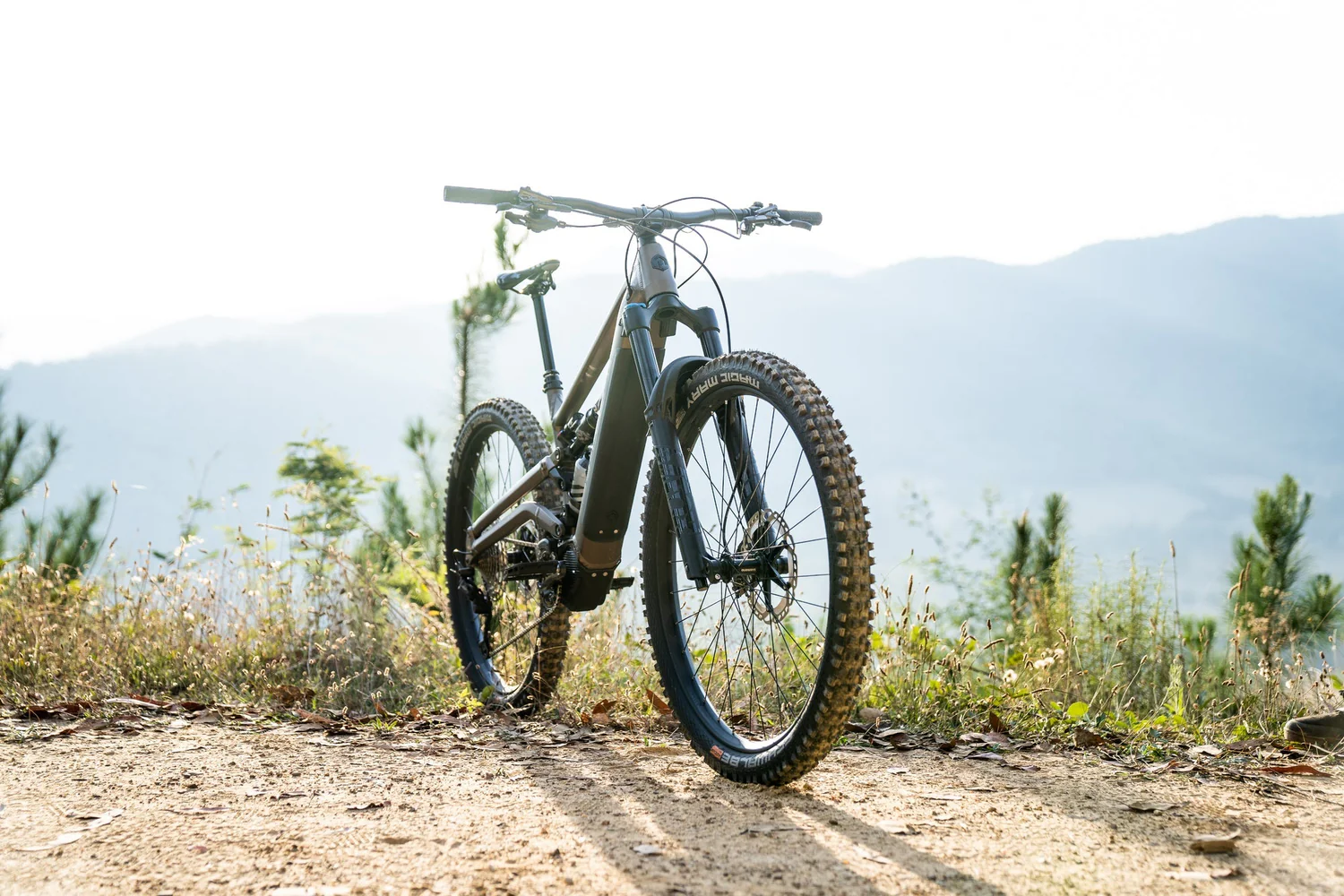 Polygon Collosus N8E - E-Mountain Bike - Image 8