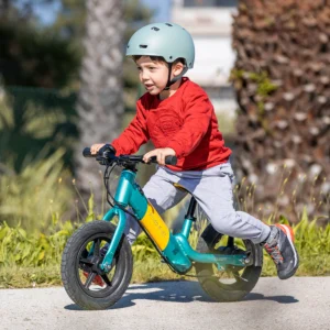ELECTRIC BIKES FOR KIDS